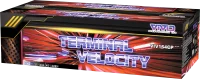 Terminal Velocity